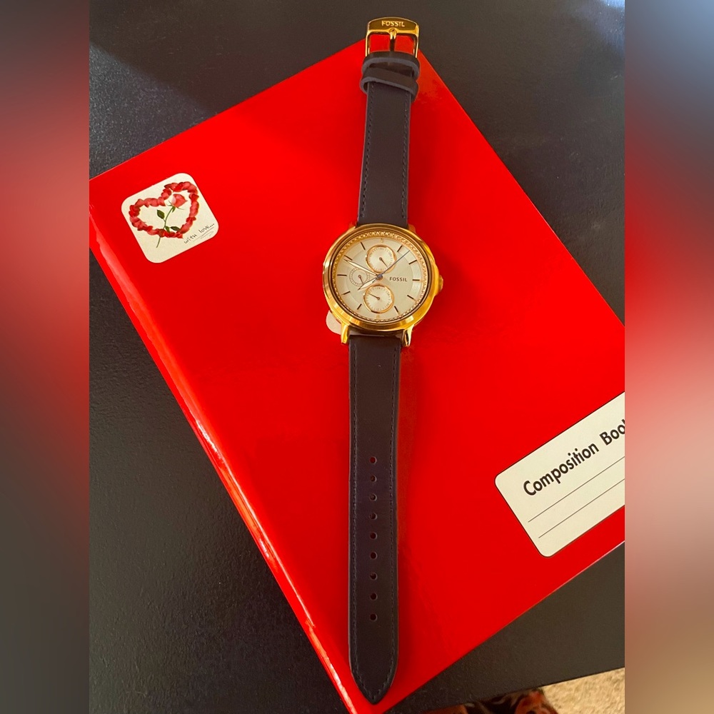 Fossil watch Navy band with rose gold and white face